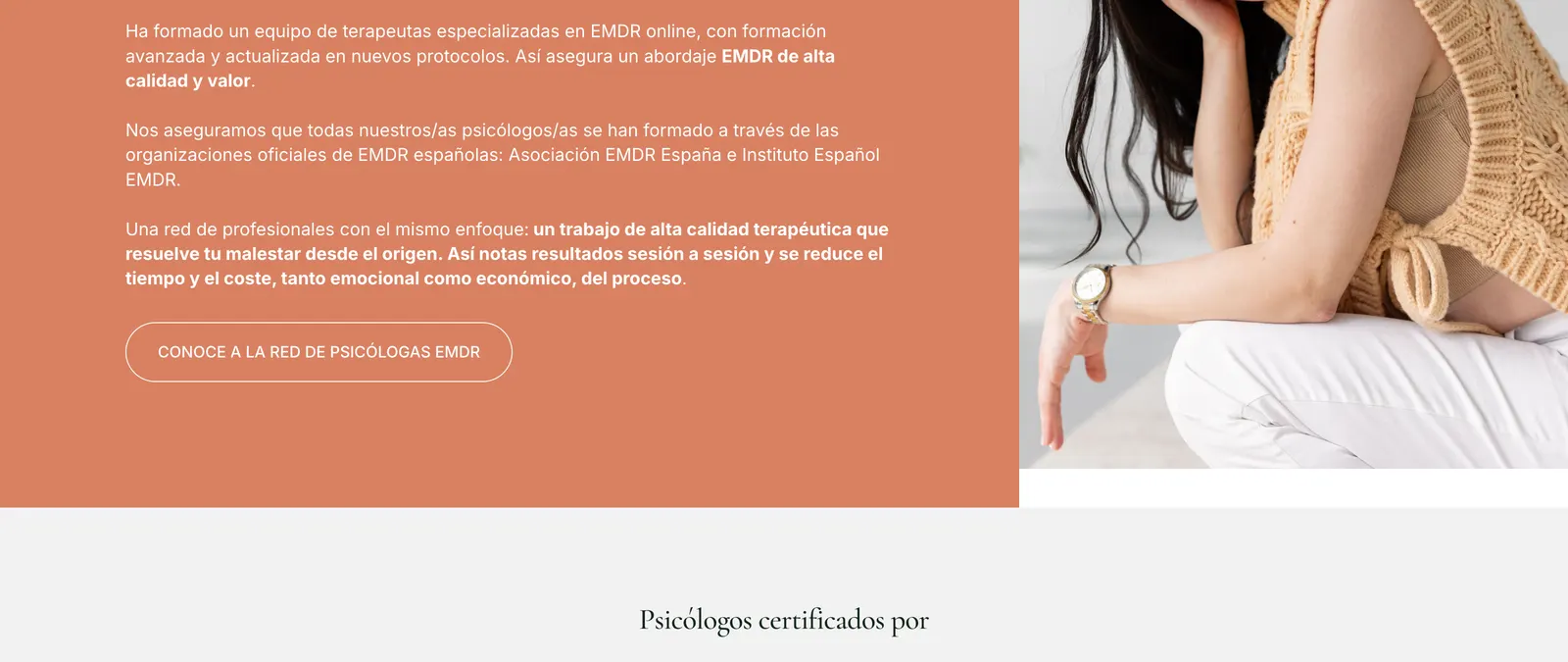 Terapia EMDR Online – imagen 2